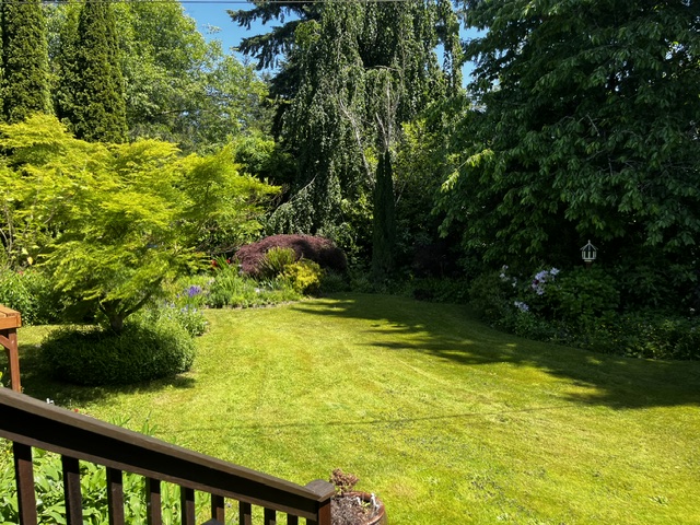 Home backyard view